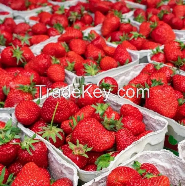 Fresh Strawberries