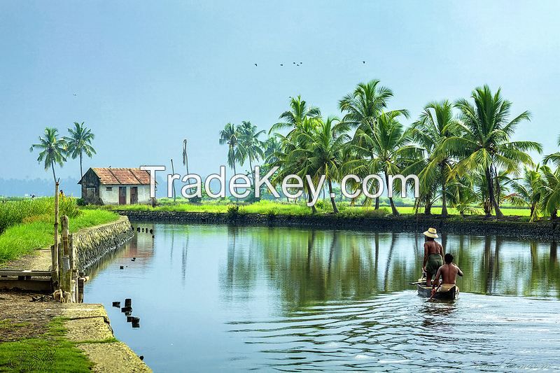 Best Holiday package in Kumarakom