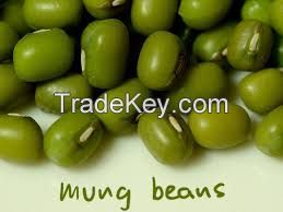 Mung Beans