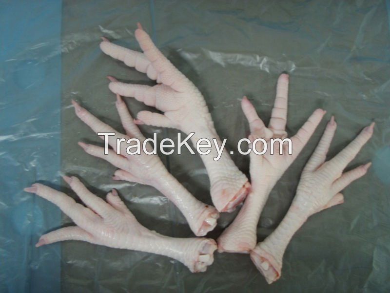 Frozen Chicken Feet & Frozen Chicken Paws