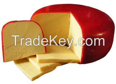 Gouda Cheese