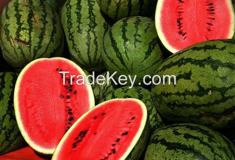 Fresh Watermelon Fruits