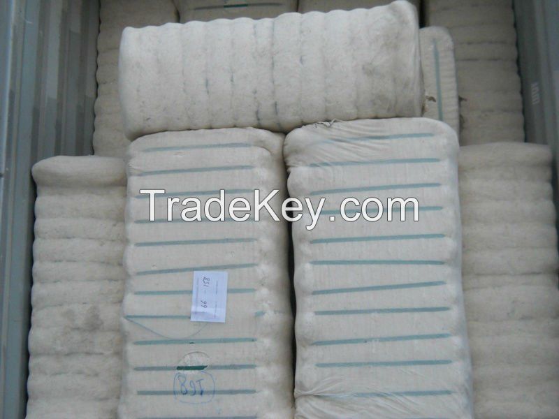 Raw Cotton Bales