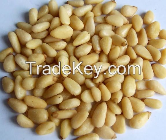 Organic Pine Nuts