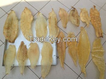 Dried Covina fish Maw