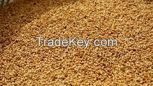 SESAME SEEDS, SOY BEANS