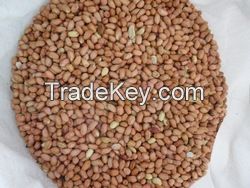 We do supply peanuts, quality, price and service.