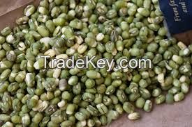 crop supply different size MUNG BEANS