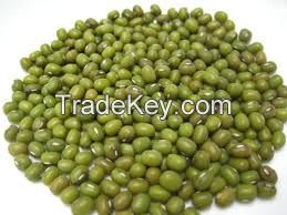 100% GREEN MUNG BEANS