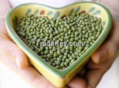 QUALITY MUNG BEANS