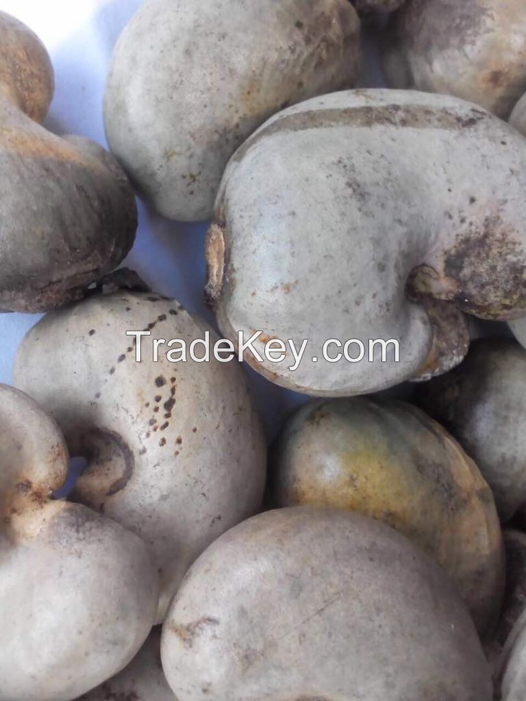 manufacturer half moon cashew nut