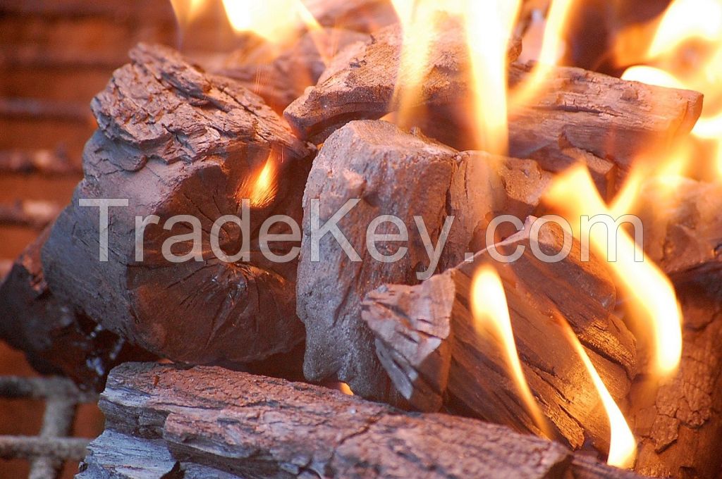 HARDWOOD Charcoal for bbq