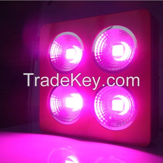 Hot Sale 600W 800W 1000W Double Chips LED Grow Light Full Spectrum For Veg/Bloom Hydroponic Planting EU AU US UK Plug