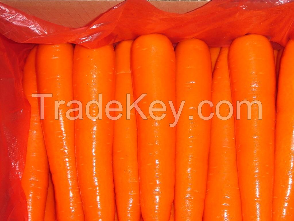 A Grade Fresh Carrots