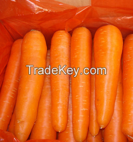 carrots