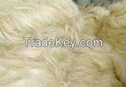 UG Grade White Sisal Fiber High Quality best price