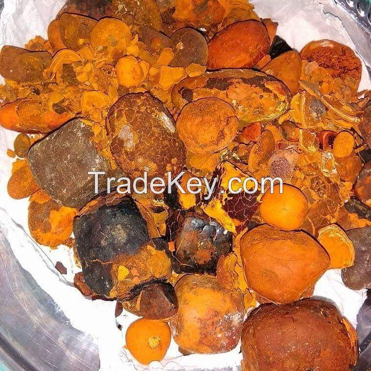 Good grade Dried Cow Ox Gallstones