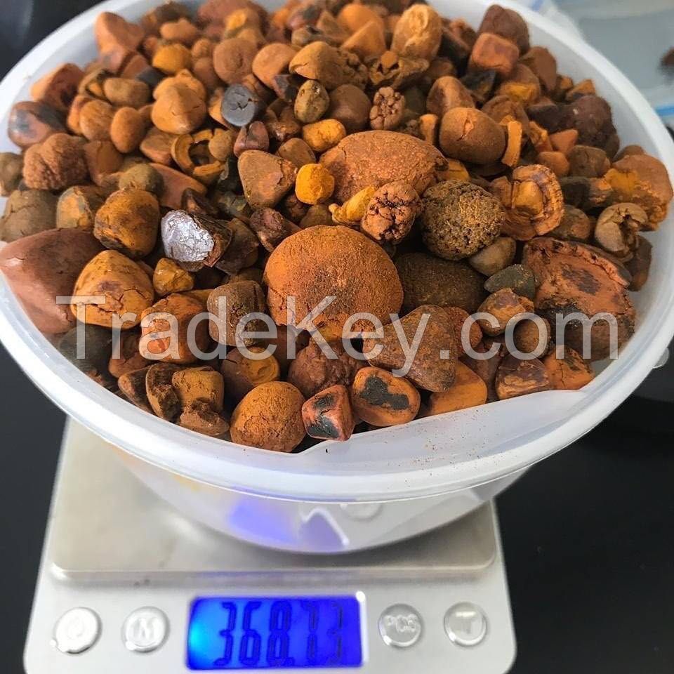 High Grade Ox Gallstones 80/20 Cow, ox, cattle Gallstones for sale