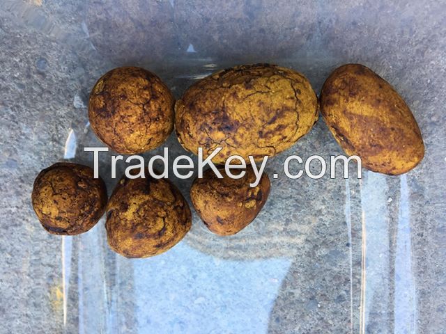 Cheap Price Highest Grade Ox Gallstone