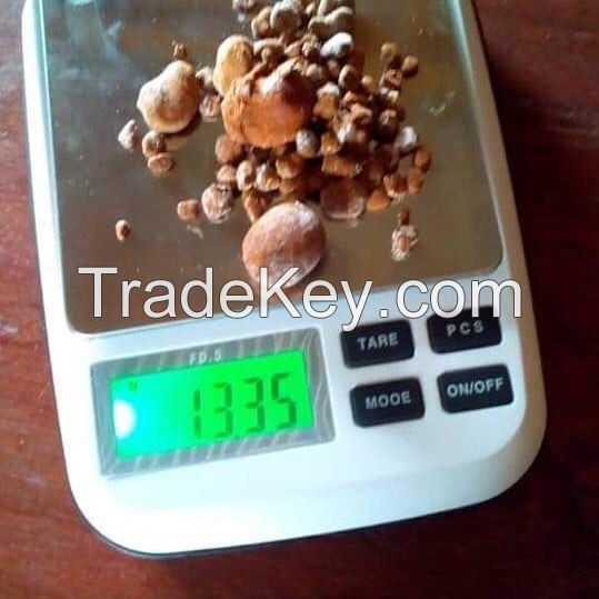 Ox Gallstones Natural Cow Gallstones