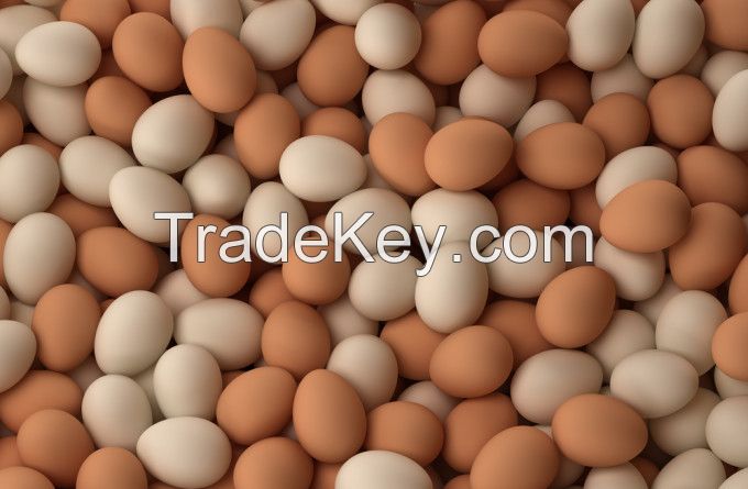 Fresh Table White and Brown Chicken Eggs