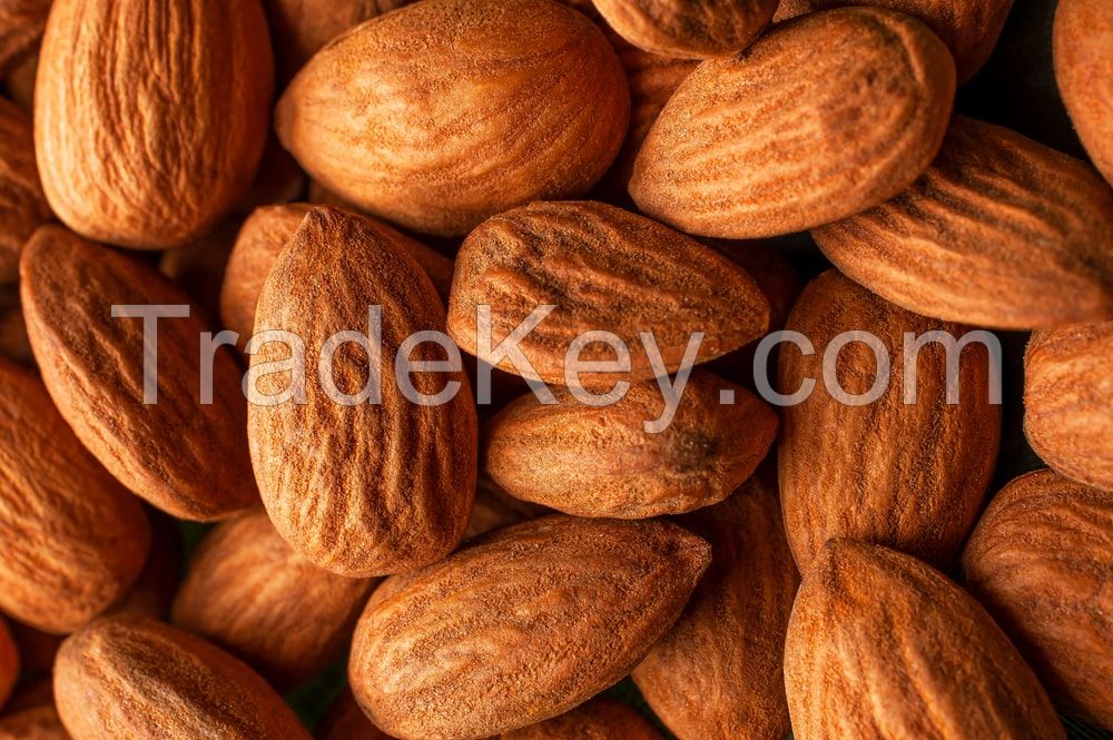 Almond Nut