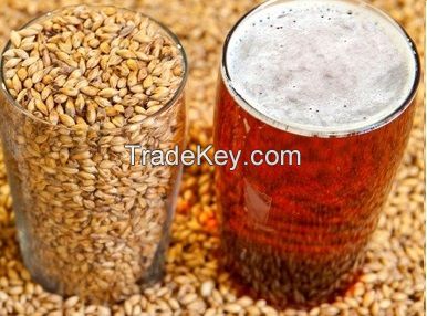 Barley Malt For Breweries from Ukraine