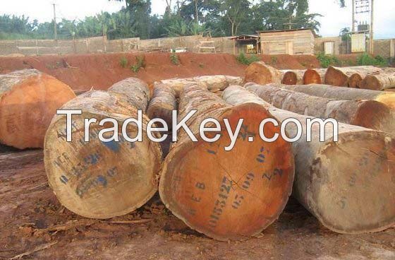 Mahognay Wood Logs