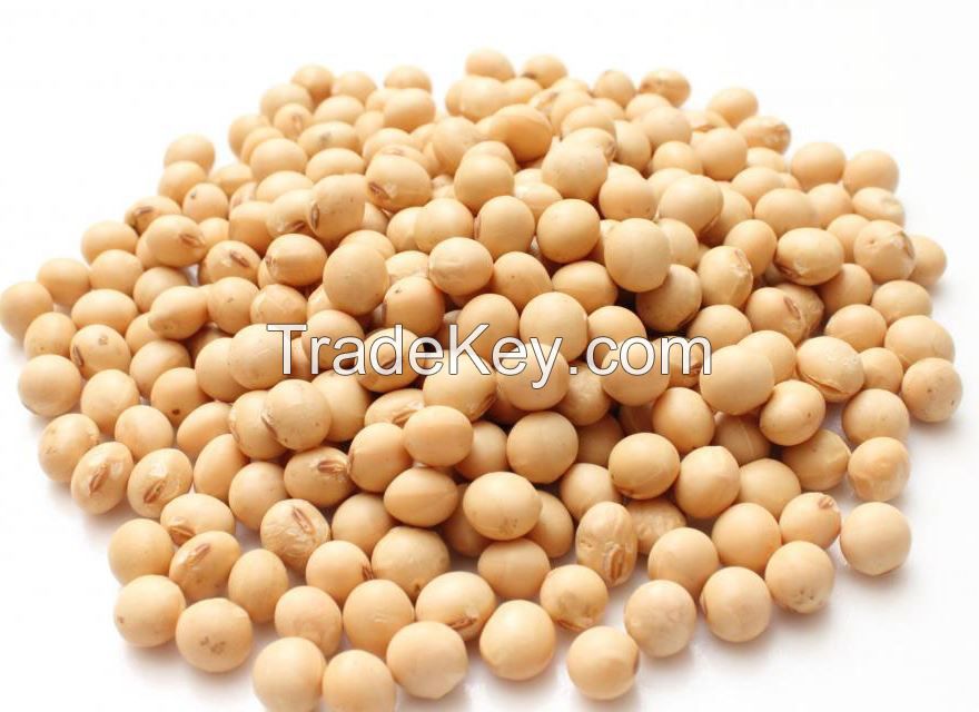 Soya Beans