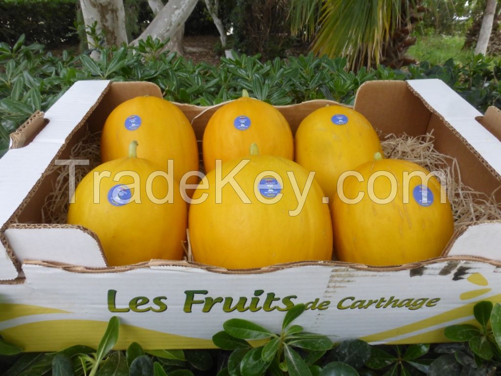 Melon Jaune Canaris by Les Fruits De Carthage