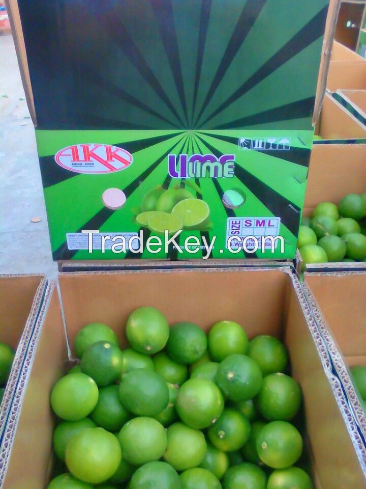 fresh seedless lime from Vietnam