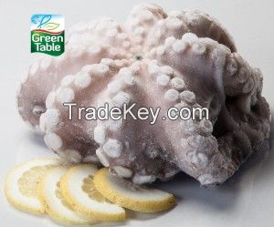 Octopus IQF/IWP (Baby / Big Size) Hot Sale Quality