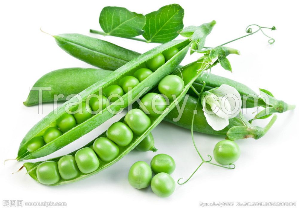 Fresh Sweet Peas