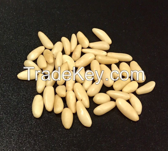 Pine Nuts Kernel  Pinoli  alssanawbar