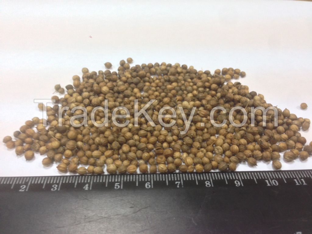 Coriander seeds