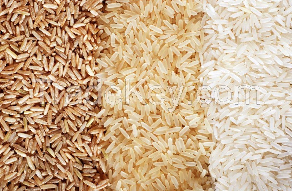 Cheap basmati rice available for sale