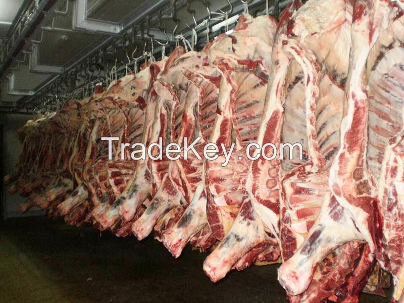 Cheap halal frozen beef available For Sale