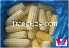 IQF Corn Whole