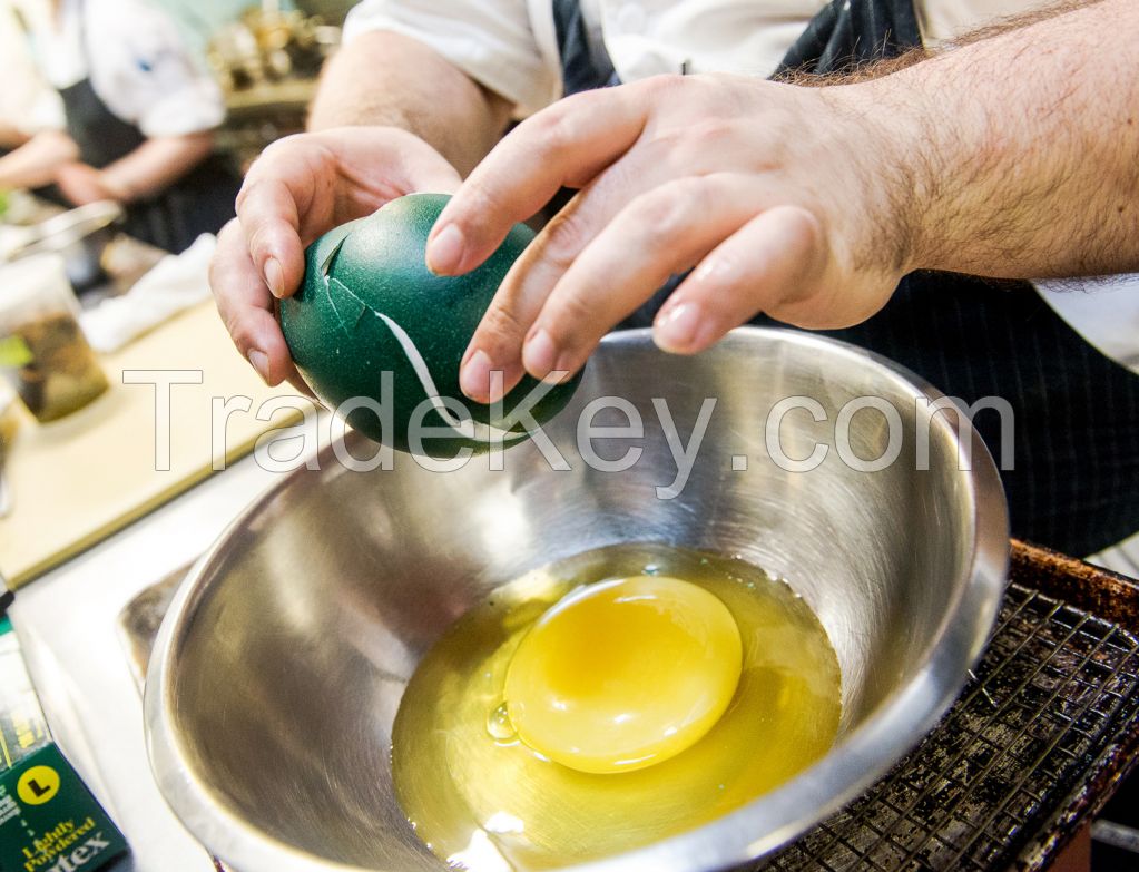 Emu Eggs For Sale (Both Fertile and Emu Eggs for Human consumption)