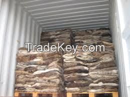 High Quality Dry and Wet Salted Donkey / Goat Skin / Cow Hides