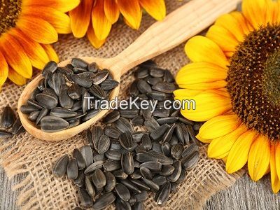 100 % Sunflower seeds for Human consumption