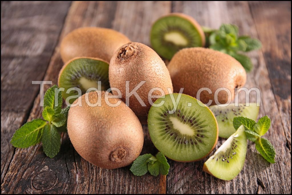 BEST QUALITY FRESH KIWI FRUIT