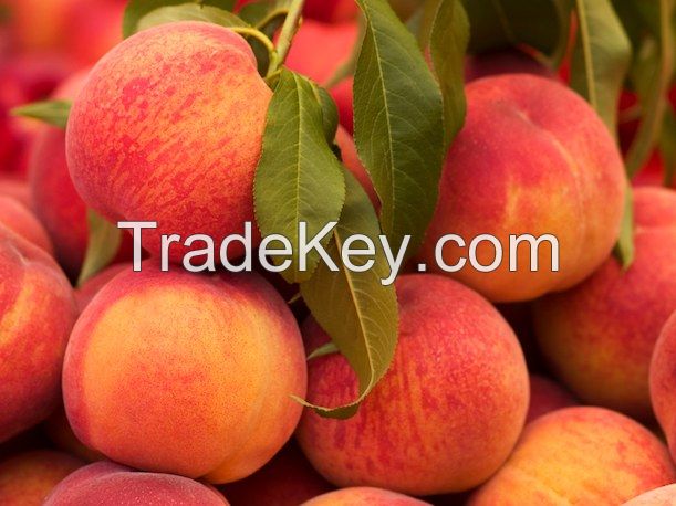 Fresh Egyptian Peach High Quality