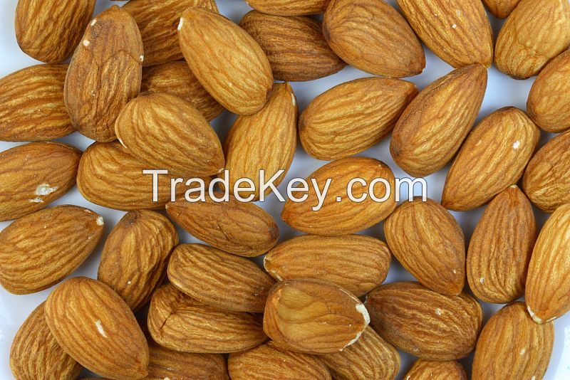 Grade A Almond Nuts/almond without shell