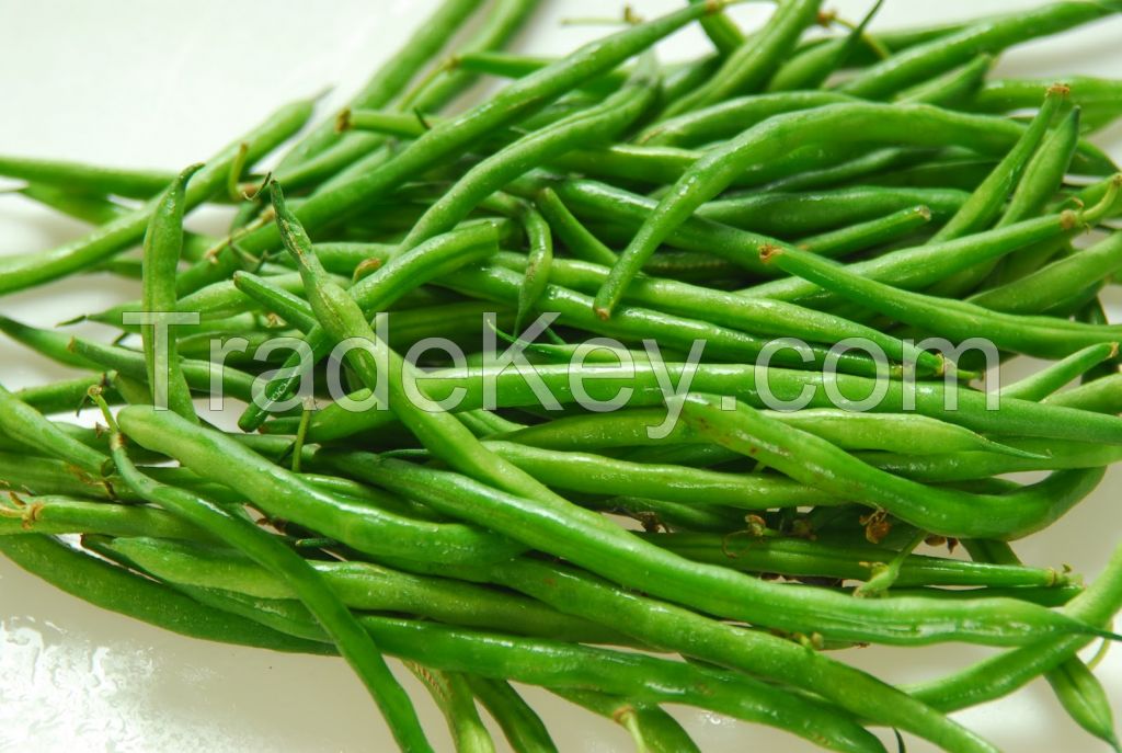 Green Beans