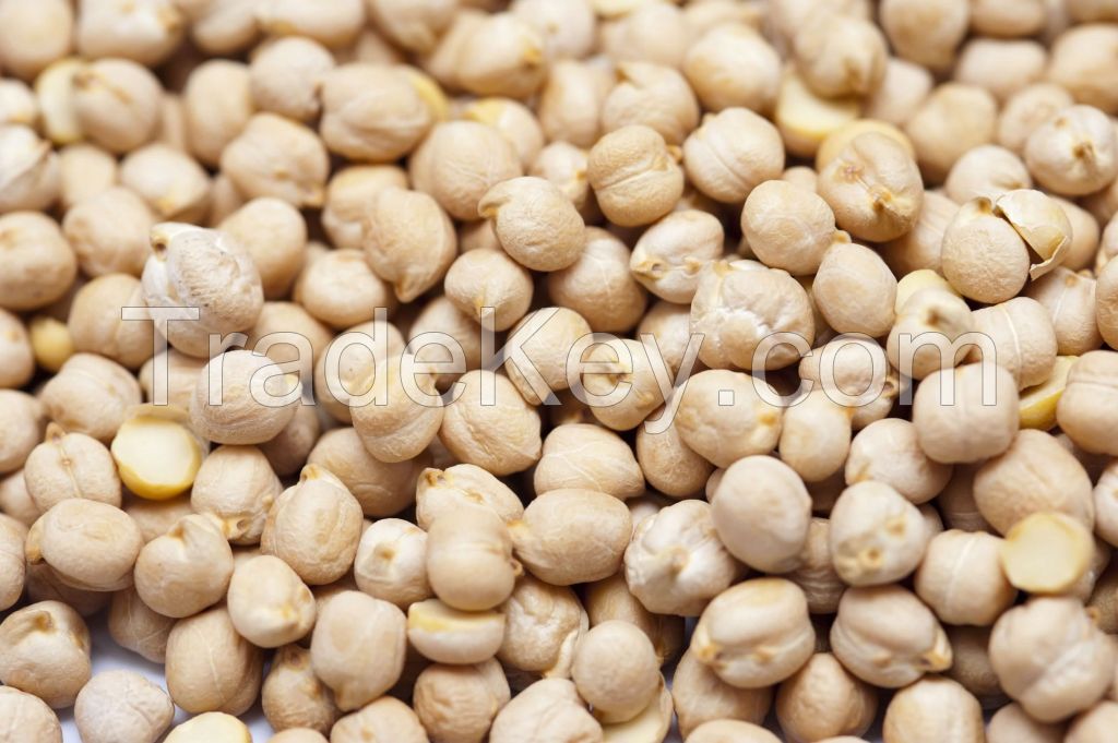 DESI CHICKPEAS