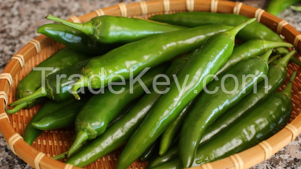 GREEN CHILI