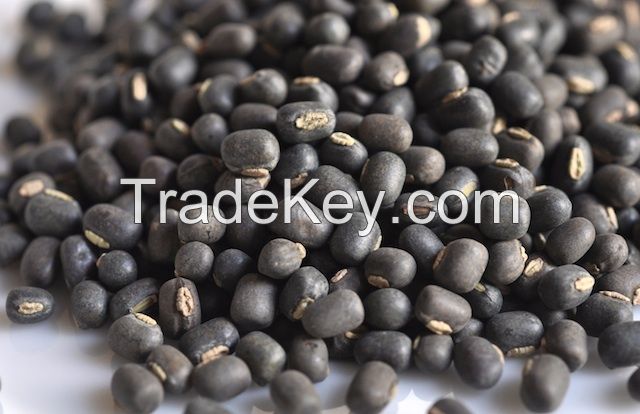 Urad Whole