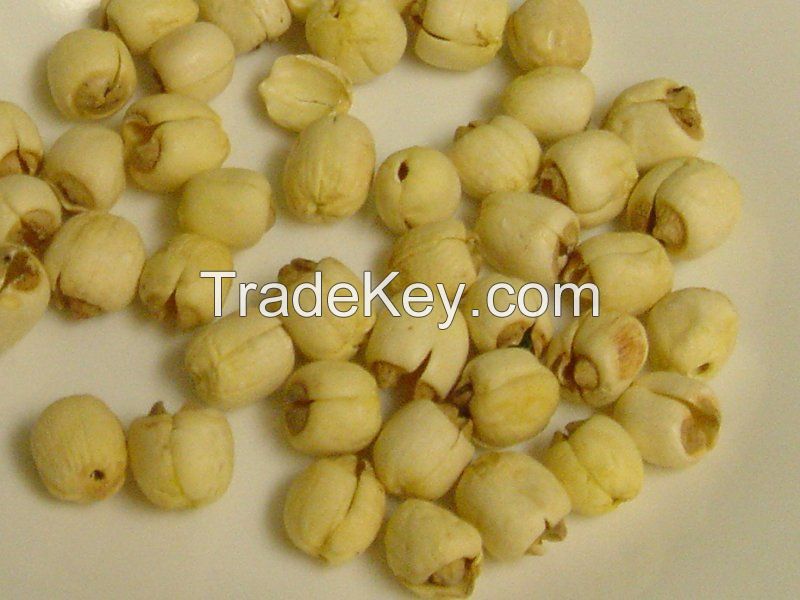 LOTUS SEED, HIGH QUALITY AT RIGHT PRICE