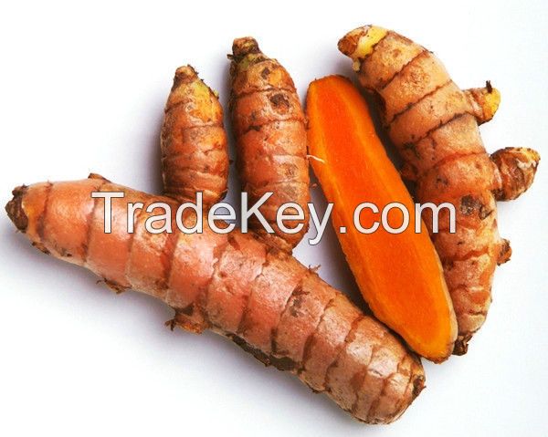 Best Turmeric Available For Sale & Export